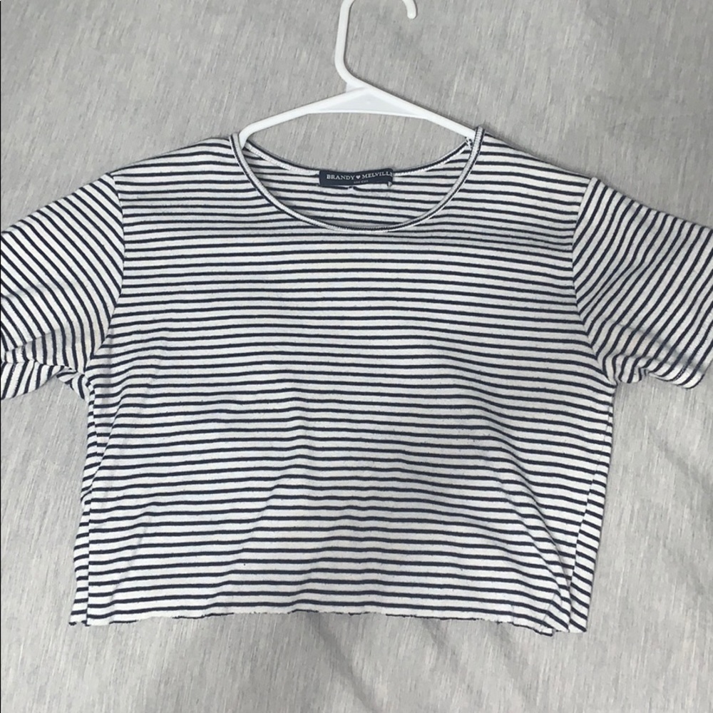 Blue & White Brandy Melville crop top
